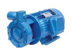 1W-2.5旋涡泵